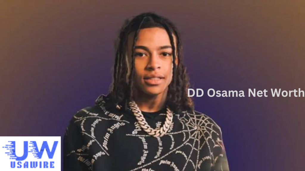 DD Osama Net Worth in 2024: along with His Journey, Career, and Social Media Presence