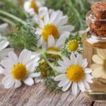 The Power of Blue Chamomile, Black Seed Oil, and CBD/CBG in DermaLuxia Skin Care