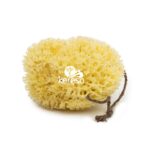 Discover the Versatility and Luxury of Natural Sea Sponges for Bathing