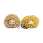 Discover the Luxury of Natural Sea Sponges for Bathing