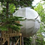 cocoon tree house