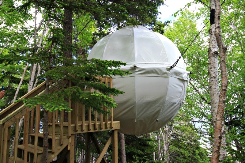 cocoon tree house