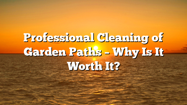 Professional Cleaning of Garden Paths – Why Is It Worth It?